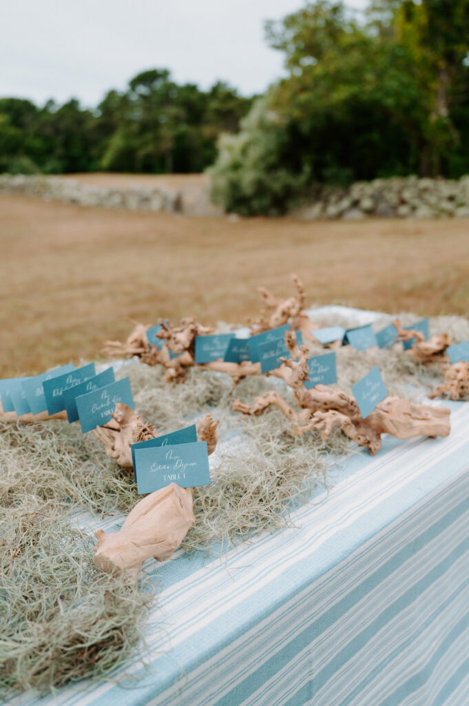 Seated chart at Martha's Vineyard wedding venue